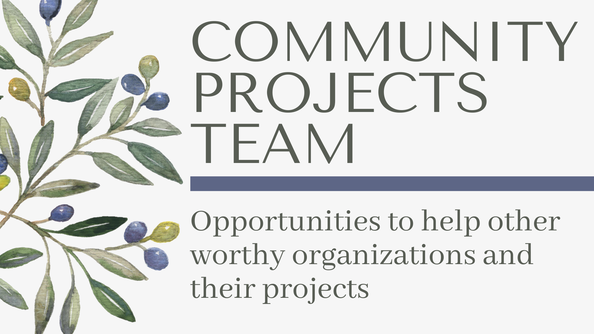 Community Projects Team